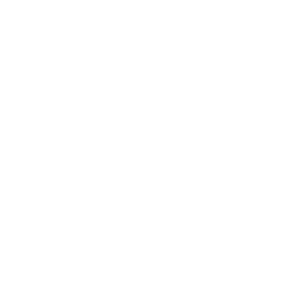 Principles of Flight
